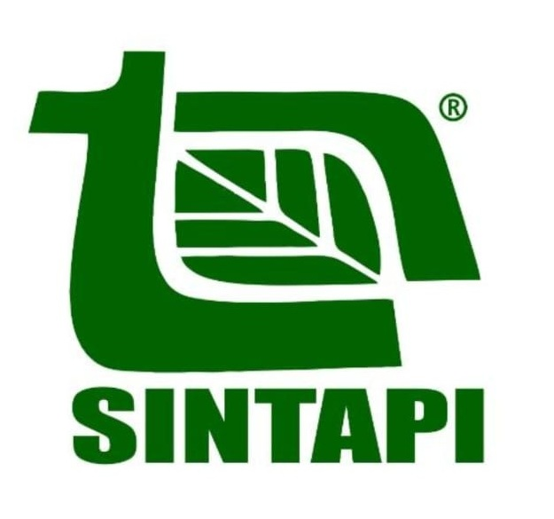 SINTAPI Logo